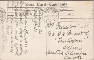 Murray & Macquarie Streets Hobart Tasmania Australia AU c1911 Postcard E55 