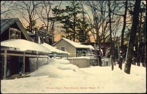 Sylvan Beach, N.Y., Park Avenue, Winter View (1910s)