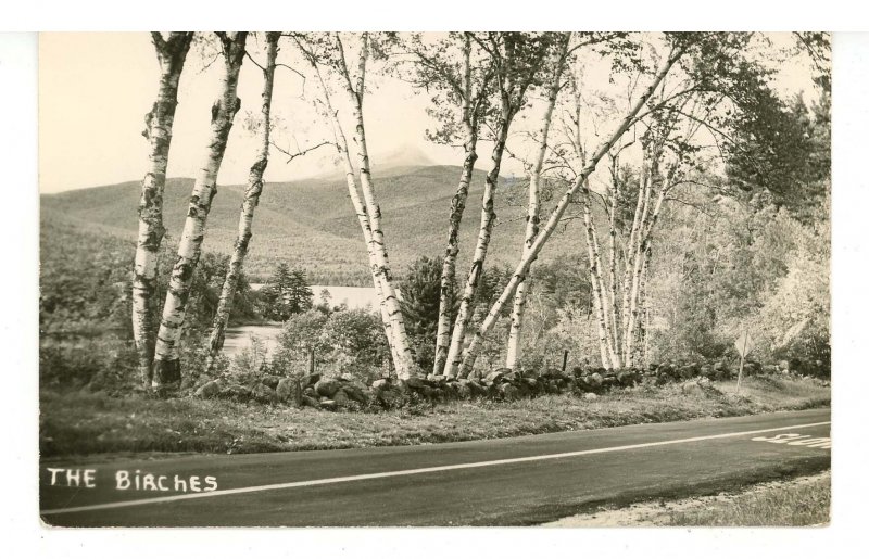 NH - White Mtns. Chocorua Lake & Mountain   RPPC