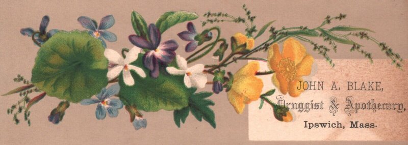 1880-90's Flowers J.A. Blake Druggist Ipswich MA Druggist Apotherary Trade Card