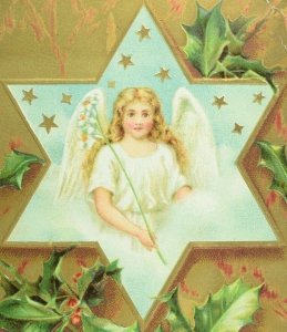 C.1900-10 Germany Embossed Angel Star Holly Flowers Xmas Vintage Postcard F56