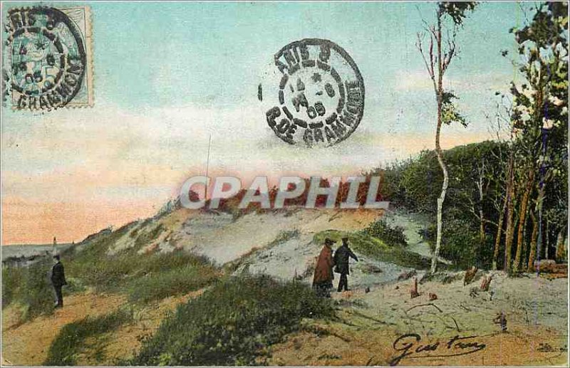 Old Postcard Dunes Landscape