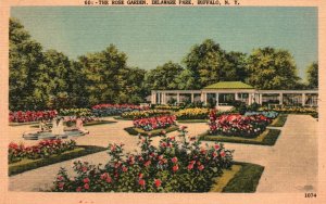 The Rose Garden Delaware Park Buffalo NY New York Vintage Postcard 1946