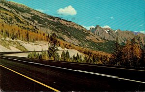 Canada Revelstoke National Park Rogers Pass 1966