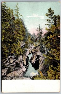 Vtg Vermont VT Cavendish Gorge Rutland Railroad 1910s View Postcard