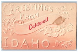 Caldwell Idaho Postcard Greetings Embossed Flowers Banner c1909 Unposted Vintage