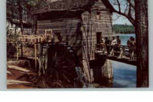 Stone Mountain GA Postcard