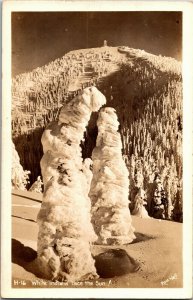 RPPC White Indians Face the Sun, Snow Covered Trees Vintage Postcard B76