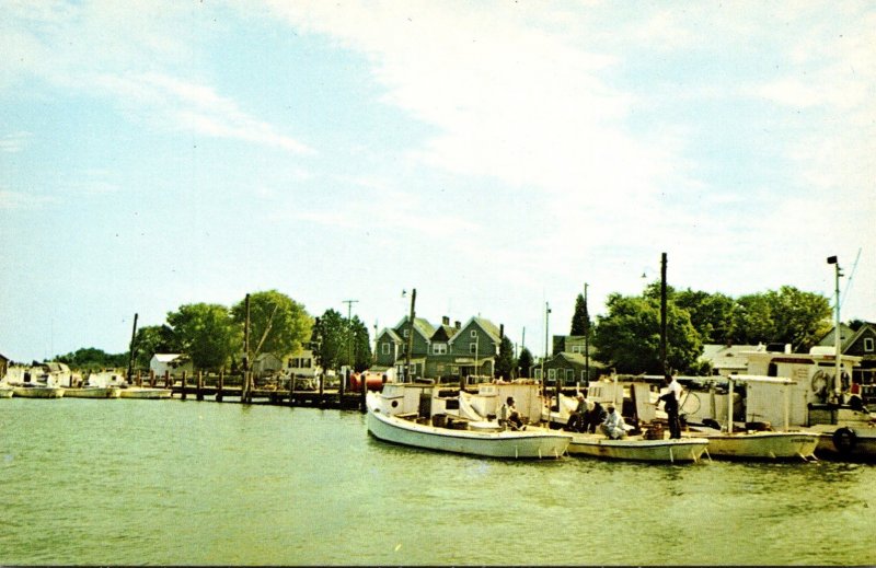 Maryland Smith Island Greetings From Tylerton Showing Harbor Scene