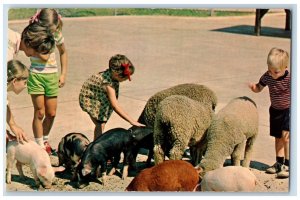 1972 Making Friends World Animals Dallas Texas Vintage Unposted Antique Postcard