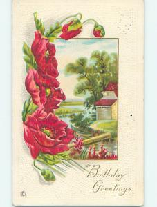 Divided-Back birthday BEAUTIFUL RED FLOWERS & RIVER SCENE o8876