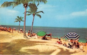 US1 USA Crandon park beach Key Biscayne FL golden sands postcard