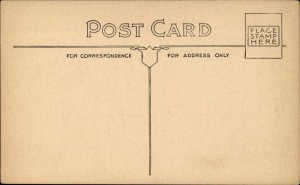 Cherry Valley New York NY National Central Bank c1910 Postcard