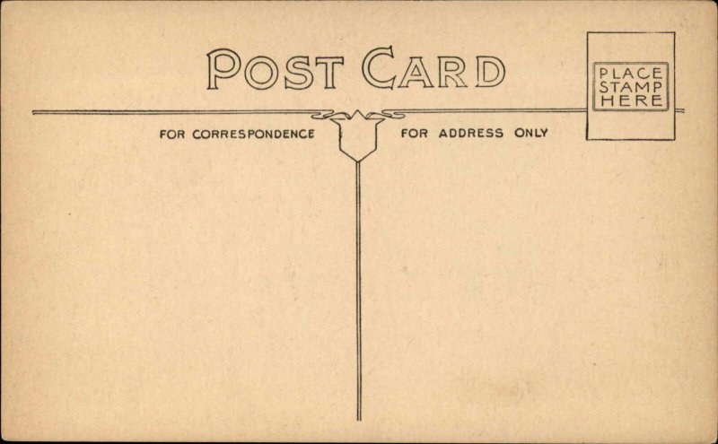 Cherry Valley New York NY National Central Bank c1910 Postcard