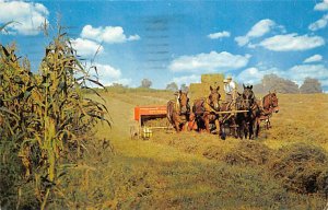 Harvesting the Hay, Amish farmers Lancaster, Pennsylvania PA  