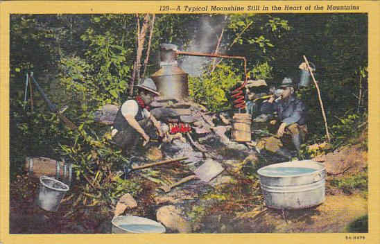 A Typical Moonshine Still In The Mountains 1957