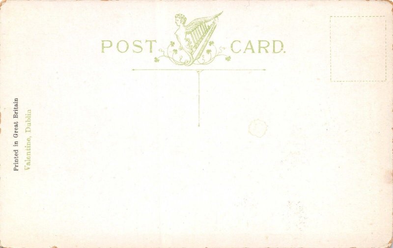 NAVAN IRELAND UK~SCENE AT BLACKWATER BRIDGE POSTCARD