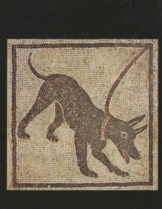Greek Giant Mosaic Of A Guard Dog House Of Orpheus British Museum Postcard