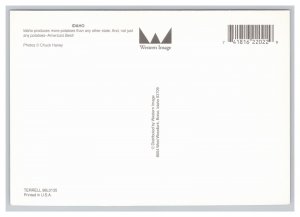 Idaho Potato Farming Postcard Continental View