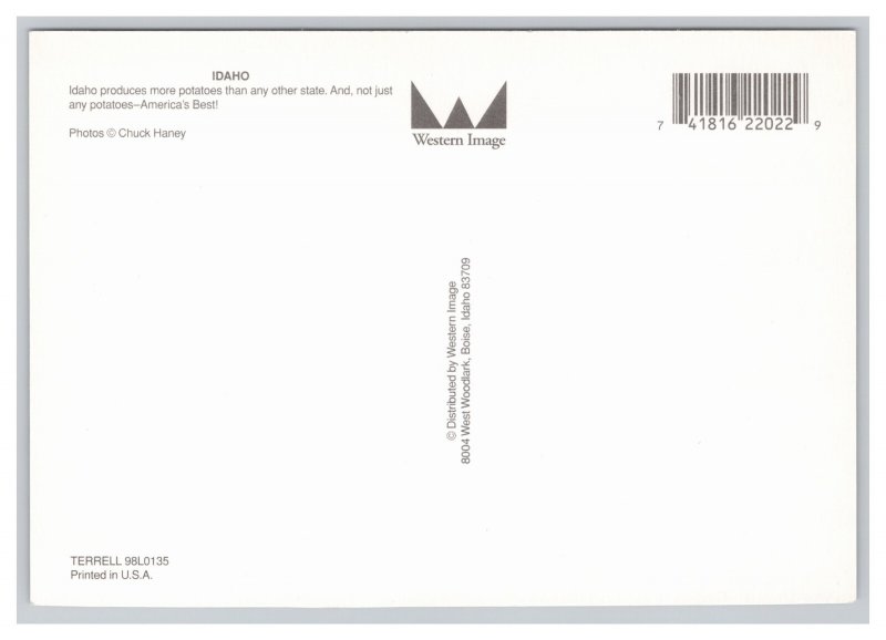 Idaho Potato Farming Postcard Continental View