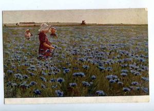 198808 RUSSIA RING Cornflower field Vintage IDM #52 postcard