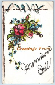 Morrison Illinois Postcard Greetings Flowers Glitter Birds 1910 Antique Unposted