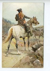 Raphael Tuck Wide Wide World Life in Spain Horses Postcard