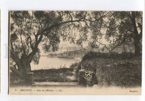 3058566 FRANCE Menton Sous les Oliviers Vintage PC