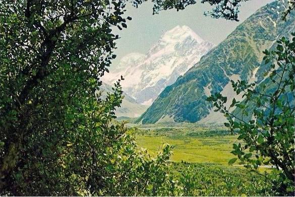 MT COOK from Glencoe Walk, The Hermitage, New Zealand ~ 