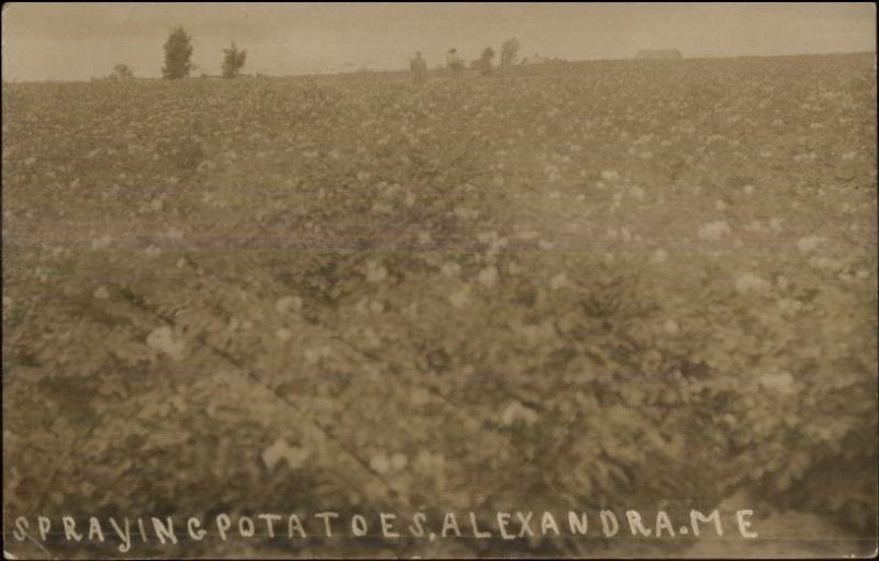 Alexandra ME Farming Spraying Potatoes ALEXANDER Postal Cancel RPPC 1912