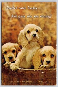 1983 Dogs In The Basket Counted Noses Sunday Guess Who's Missing Posted Postcard