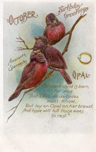 11254 October Birthday Greetings - 1907