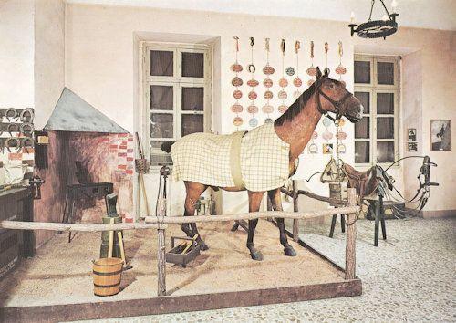 Italian Military Horse Cavalry Exhibit Museum Postcard