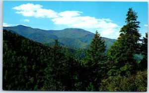 Postcard - Mt. Mitchell, Highest Peak In Eastern America - North Carolina