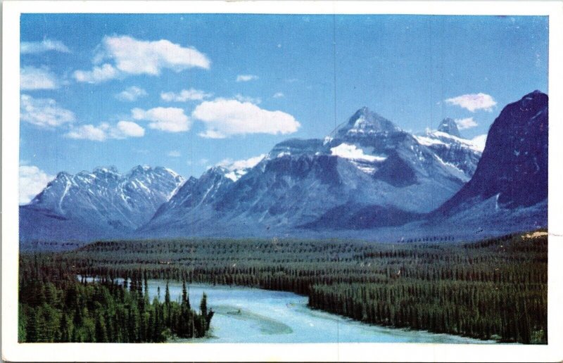 Athabasca River Valley Chrome Postcard Snowy Mountain Tops Forestry Postcard UNP 