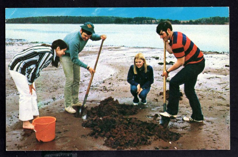 PEI Prince Edward Island CLAM-DIGGING Brudenell Kitten Club Resort ~ Chrome