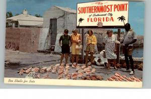 FLORIDA Conch Shells for Sale Old Postcard