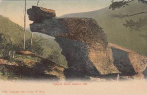LP41 Catskill Mountains, New York, NY, postcard, Sphynx Rock
