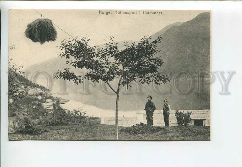 435943 NORWAY Hotransport & Hardanger hay funicular Vintage photo postcard