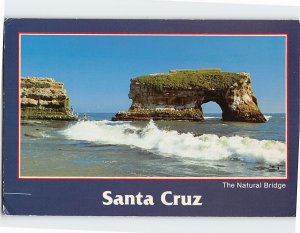 Postcard Nature Bridge Santa Cruz California USA