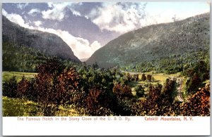 Famous Notch Stony Clove U. & D. Railway Catskill Mountains New York NY Postcard