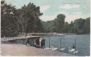 DUCK POND REGENTS PARK ENGLAND