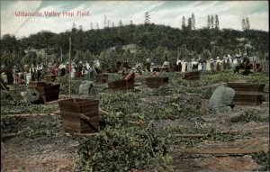 OREGON Willamette Valley Hop Field AGRICULTURE c1910 Postcard