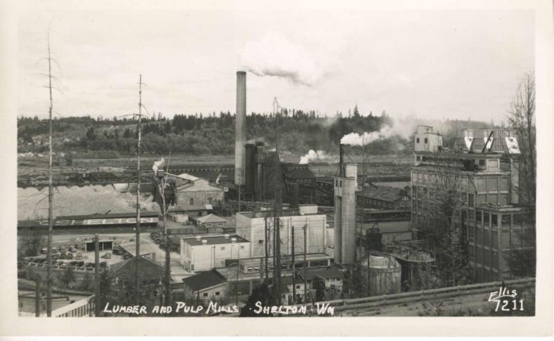 Lumber & Pulp Mills Shelton Washington WA Ellis 7211 RPPC Postcard E9