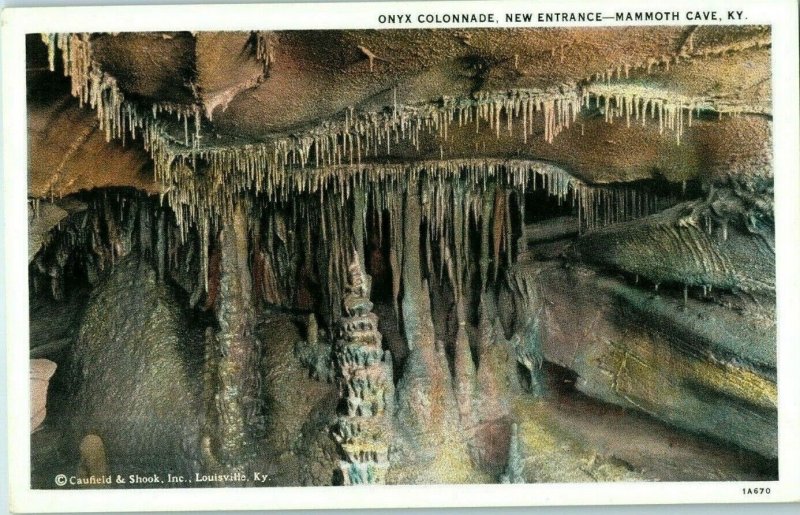 Onyx Colonnade New Entrance Mammoth Cave Kentucky Postcard