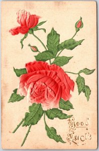 1908 Good Luck Rose Flower with Leaves Greetings Wishes Card Posted Postcard