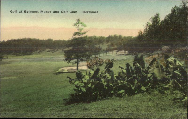 Bermuda Belmont Manor Golf Course Hand Colored Postcard #4