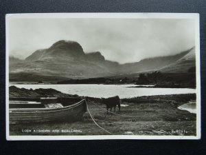 Scotland LOCH KISHORN & BEALLACH Cattle on Shore c1950s RP Postcard by Valentine