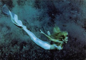 mermaid and underwater bubbles, visitors to Florida Florida, USA Mermaid Unused 