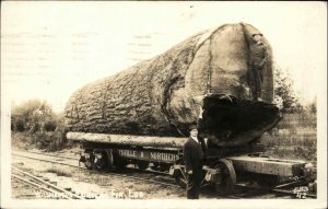 TACOMA WASH WA Logging Fir Log DEMOBILIZED VETERANS WWII ELLIS RPPC